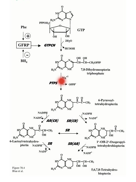 PTS Deficiency 